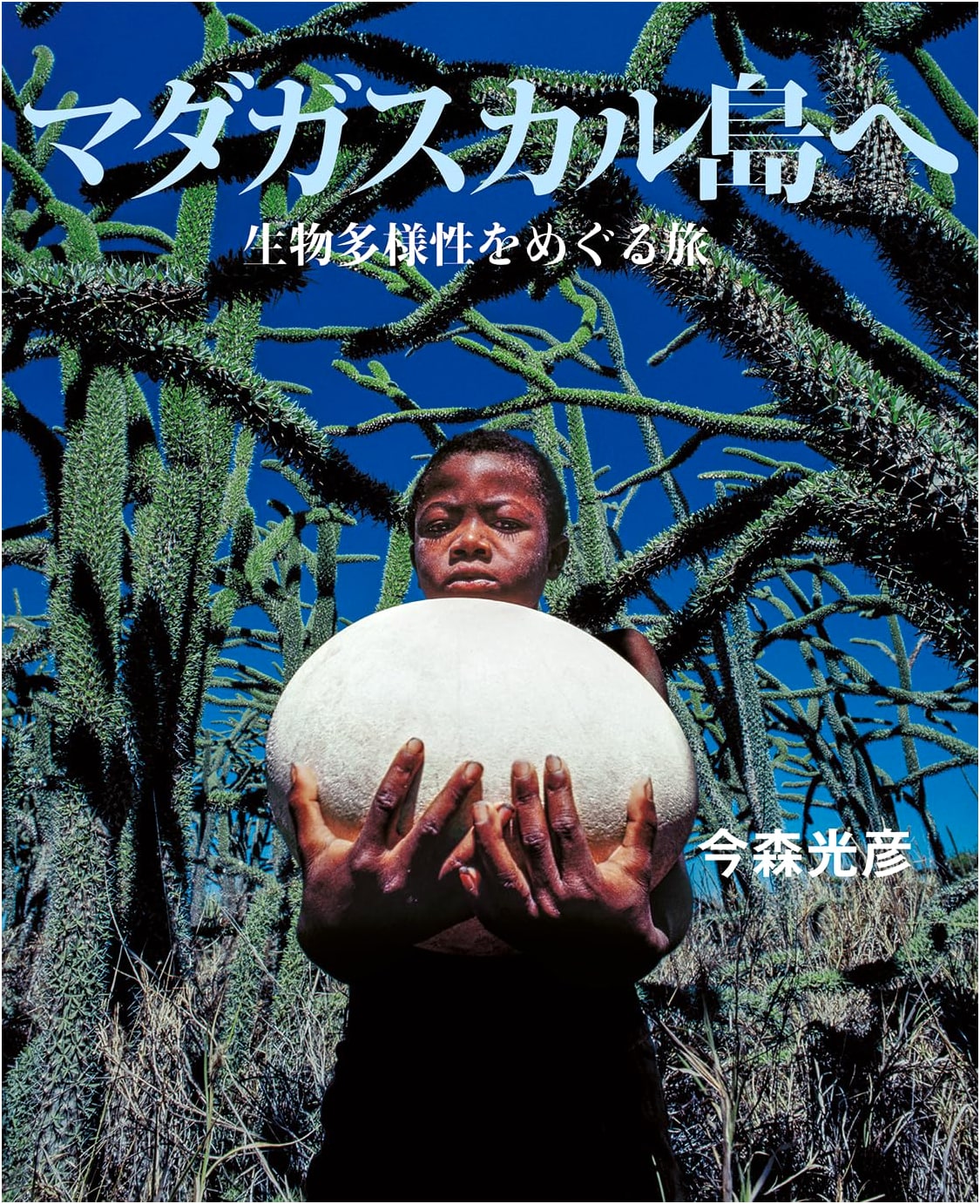 A Journey to Madagascar Island: Exploring Biodiversity