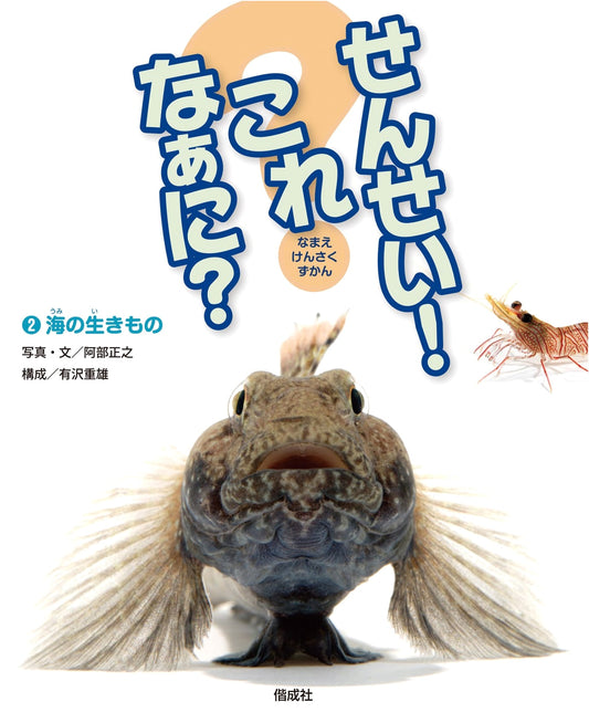 Sea Creatures: Teacher! What is This?