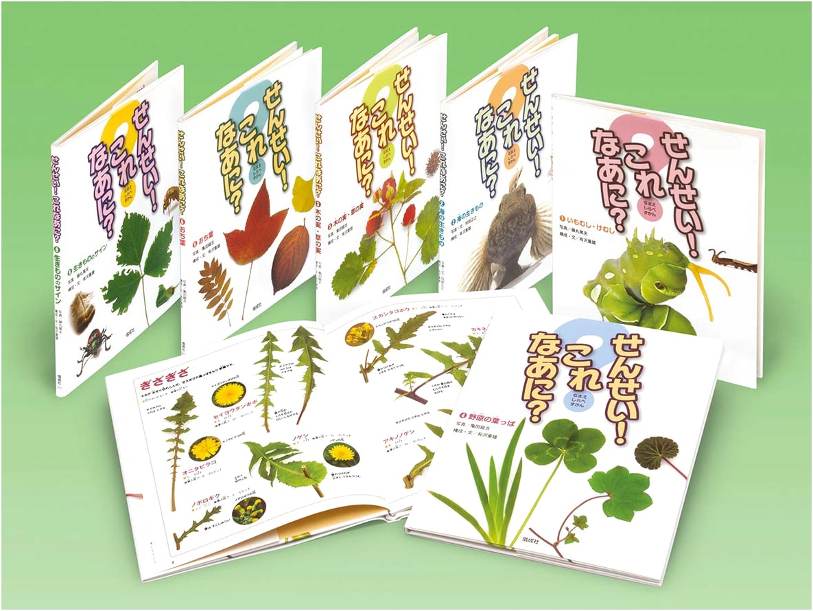 Teacher! What is This? (6-Book Set)