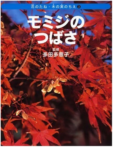Maple Wings (Wisdom of Flower Seeds and Tree Nuts 3)