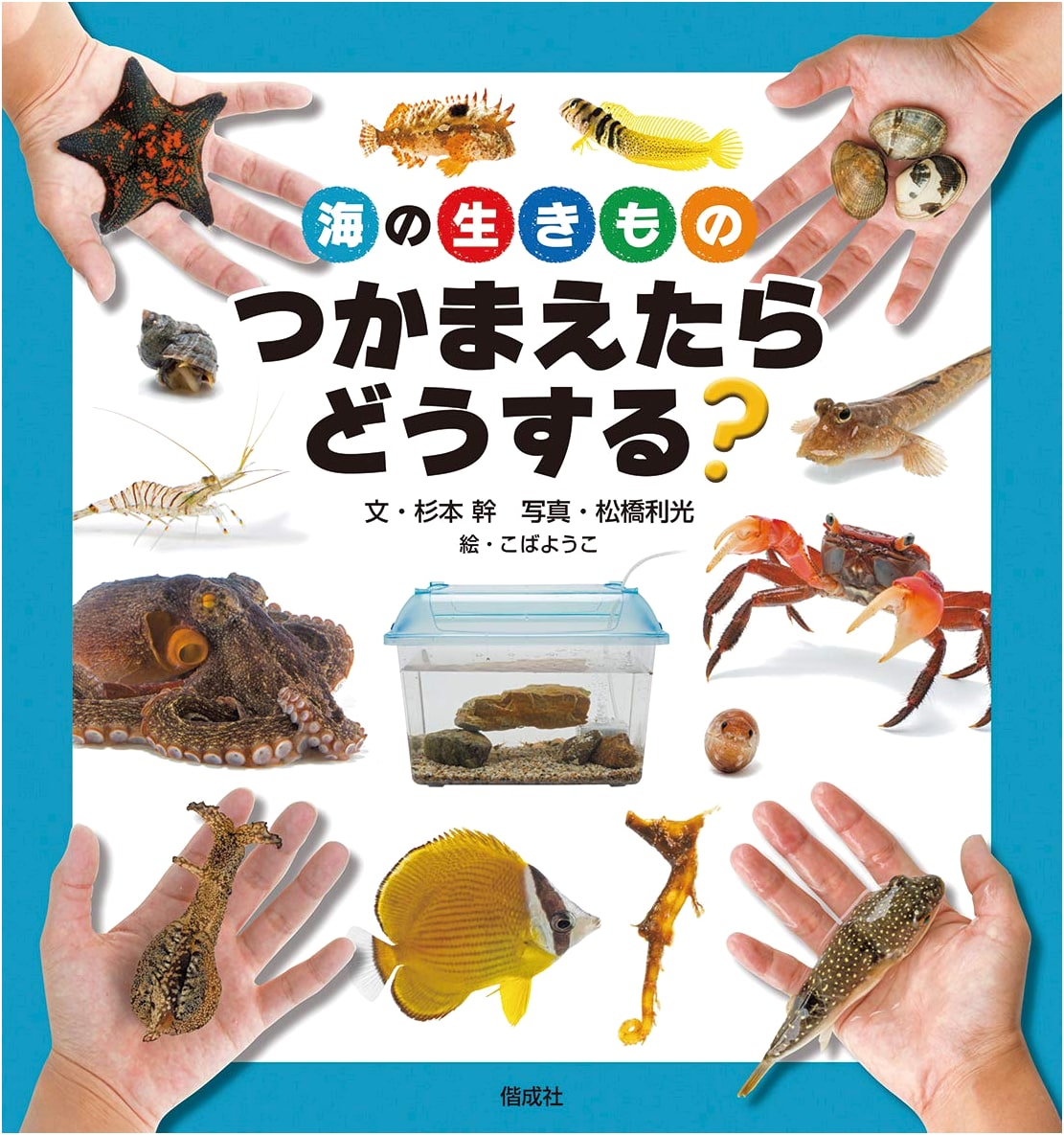 Sea Creatures: What Do You Do If You Catch Them?