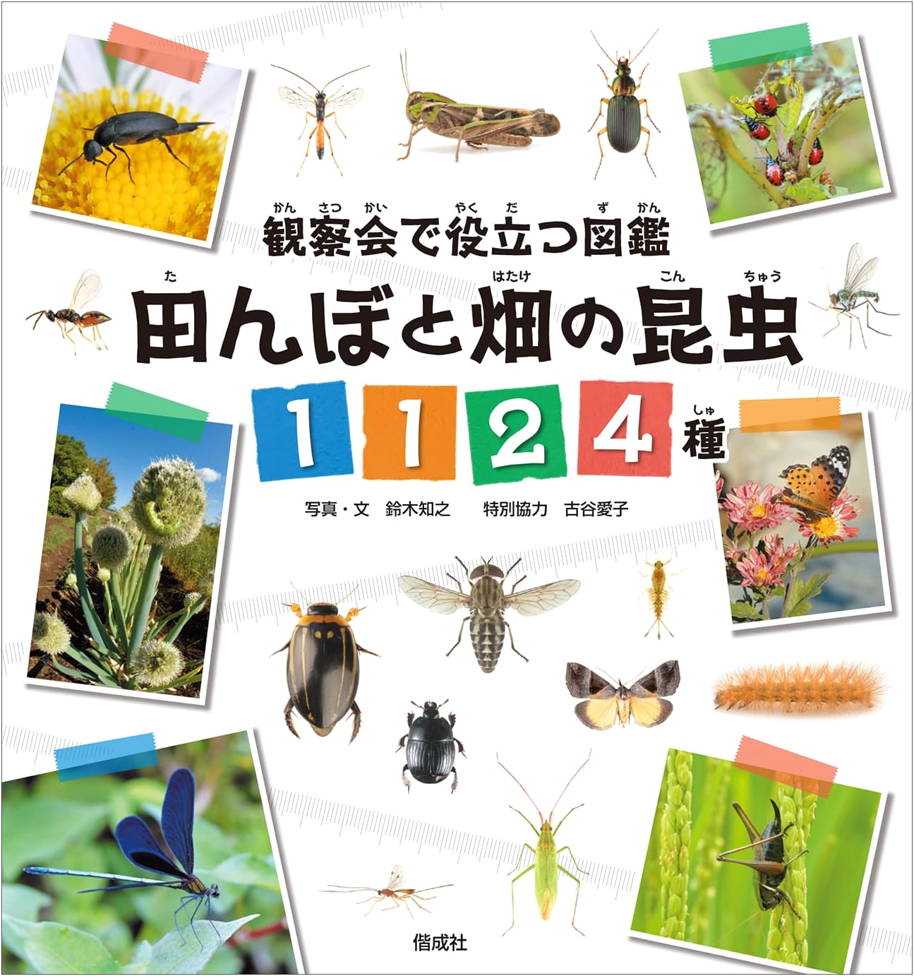 1124 Species of Insects in Rice Paddies and Cultivated Fields