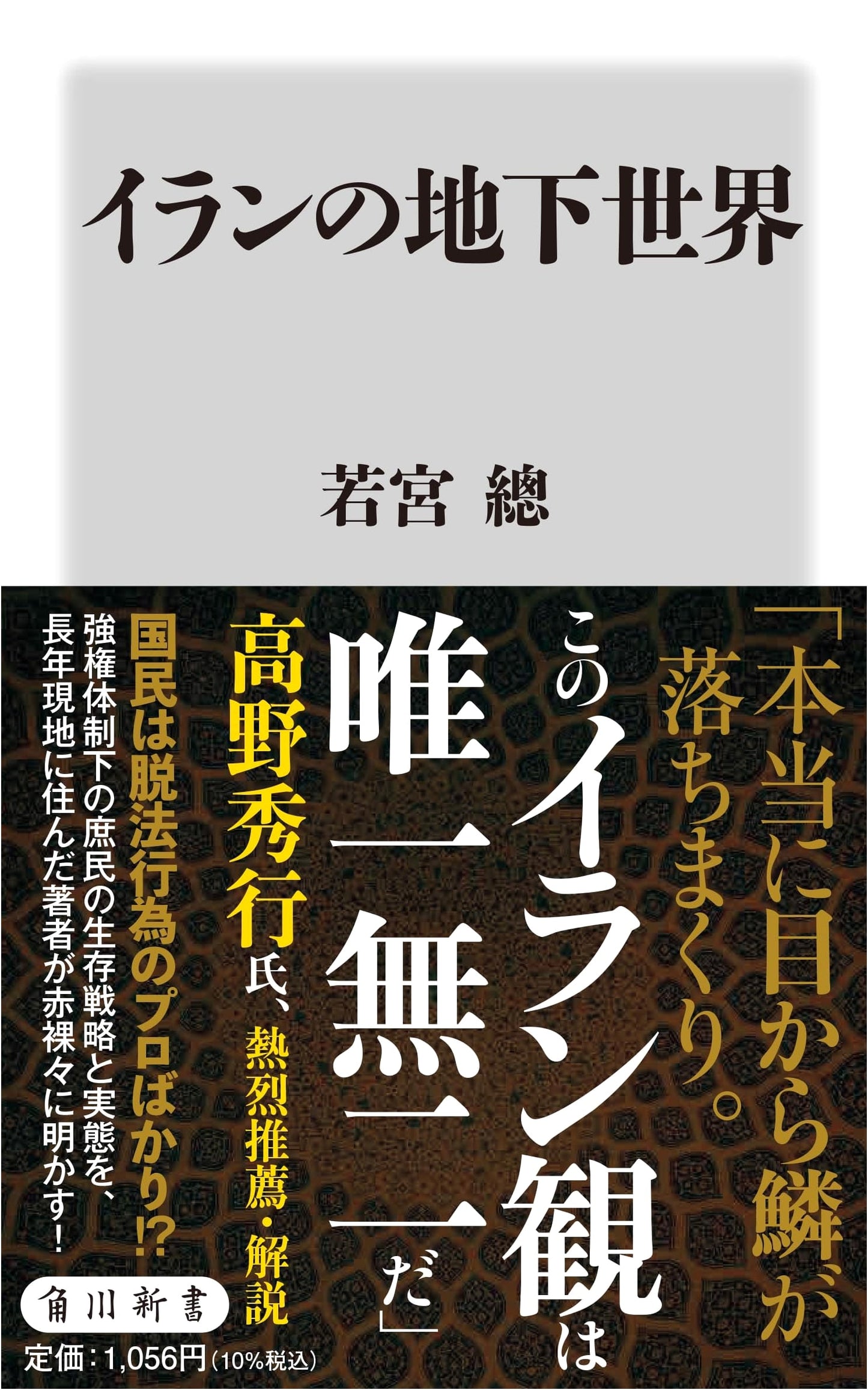 Iran's Underground: Unveiling Secrets of Iran by So Wakamiya