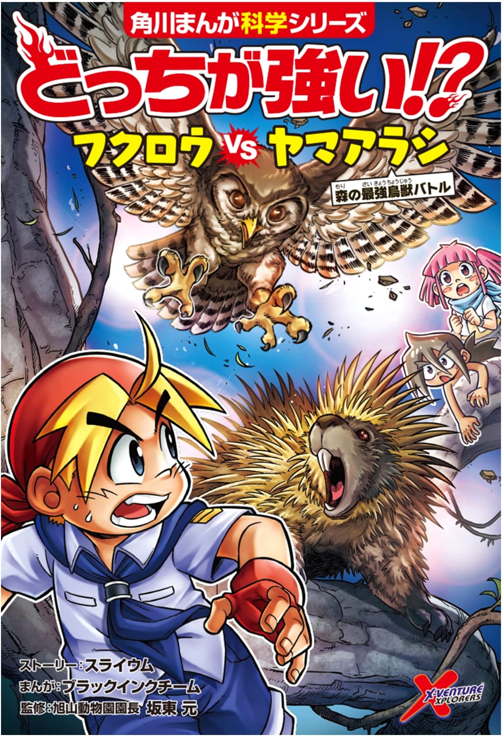 Which is Stronger!? Owl vs. Porcupine: The Forest's Mightiest Beast Battle