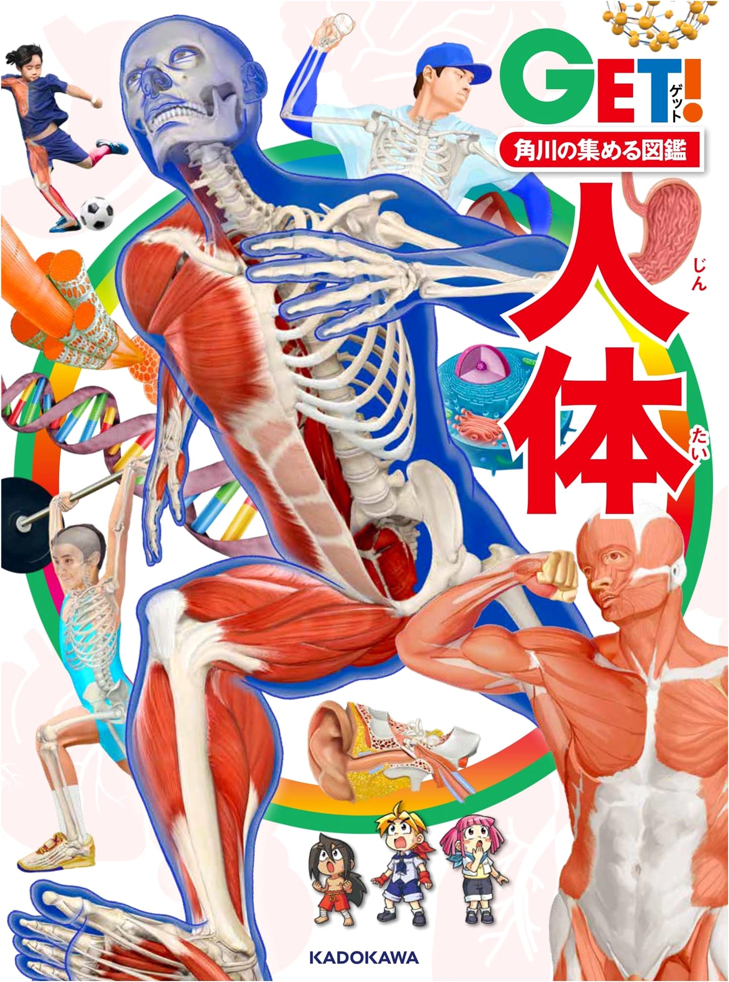 Kadokawa's Collecting Encyclopedia GET! The Human Body