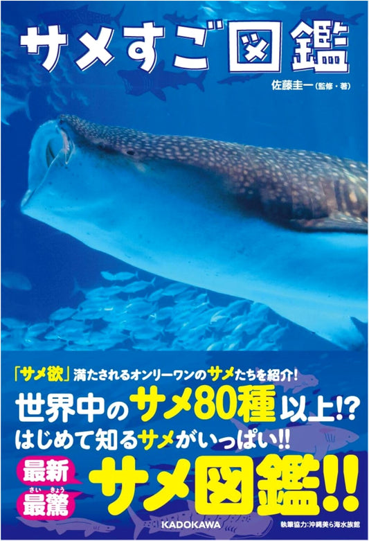 Amazing Sharks: An Illustrated Guide