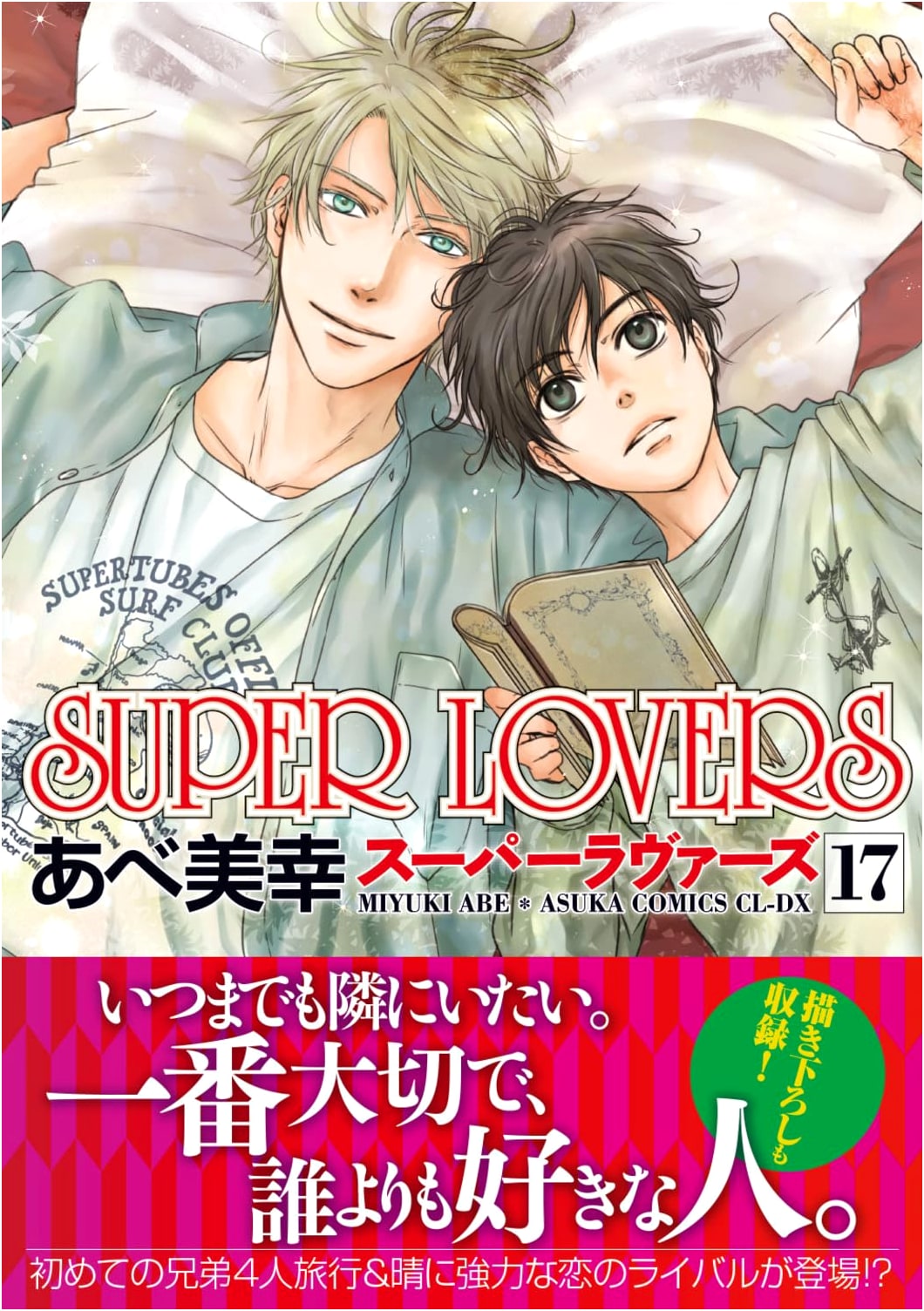 SUPER LOVERS, Volume 17 (Asuka Comics CL-DX)