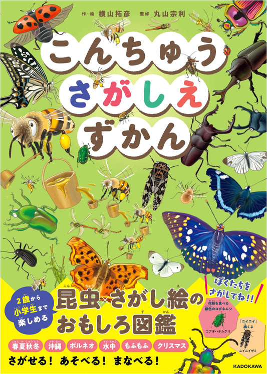 Seek-and-Find Insect Picture Book
