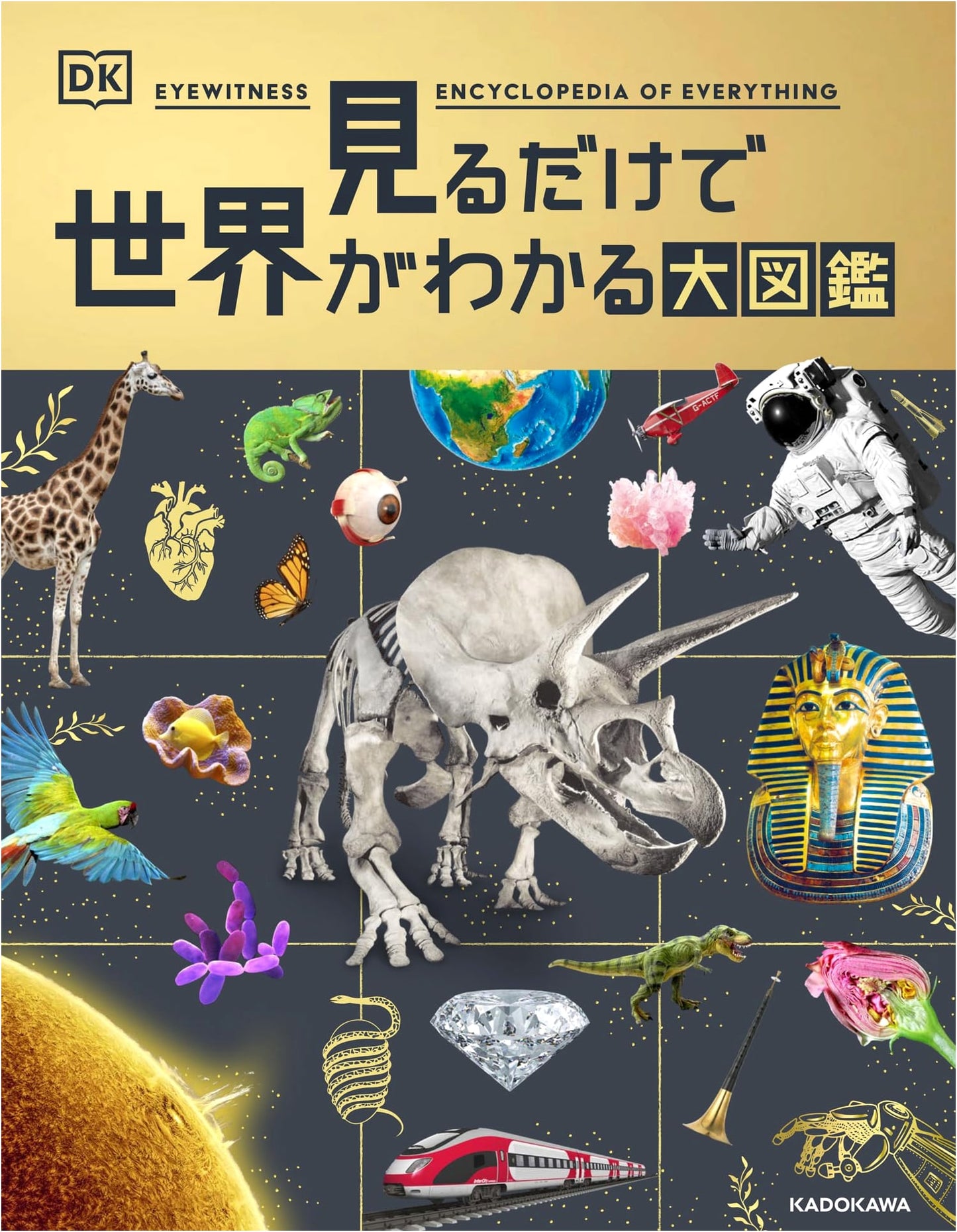 The Big Illustrated Encyclopedia: Understand the World Just by Looking