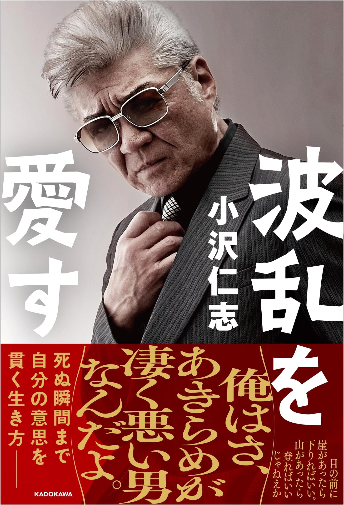 Embracing Turmoil: A Memoir by Hitoshi Ozawa