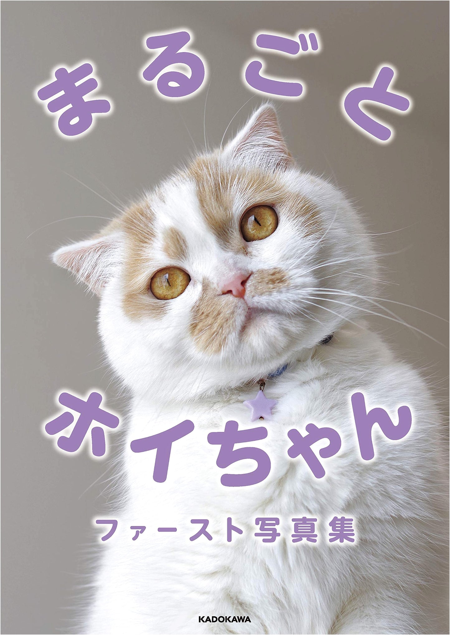 Official Spin-off: Marugoto Hoi-chan's First Photobook from the Cat Nap Exhibition