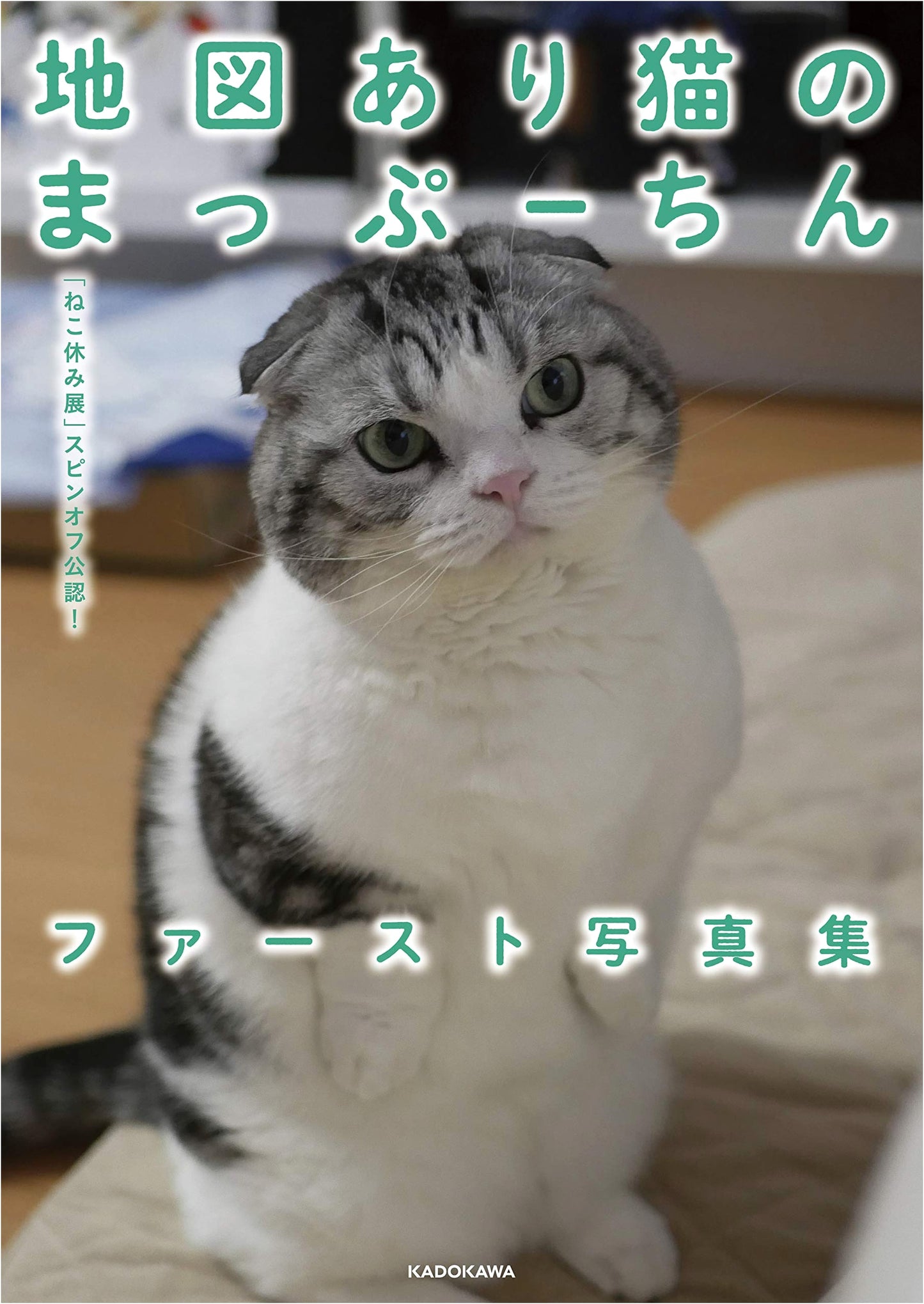 Nekoyasumi-ten Spin-off: Mappuchin the Map Cat's First Photo Book