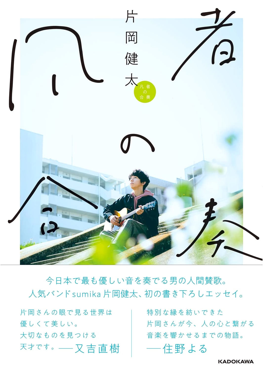 Ensemble of the Ordinary