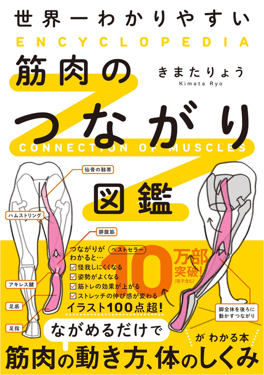 The World's Easiest-to-Understand Illustrated Guide to Muscle Connections by Ryo Kimata