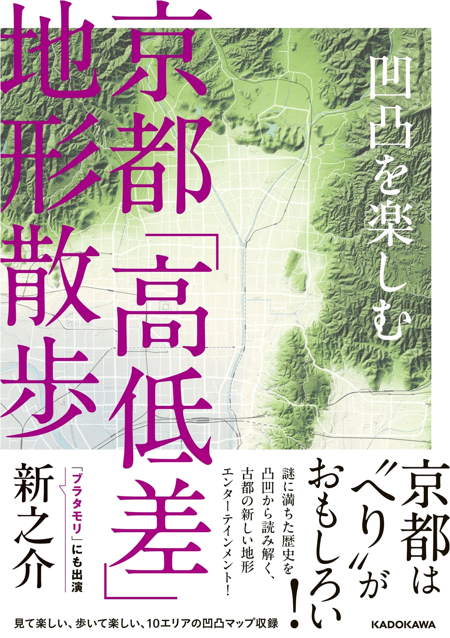 Kyoto's Topography: A Walking Guide to the City's Hills and Hollows by Shin'nosuke
