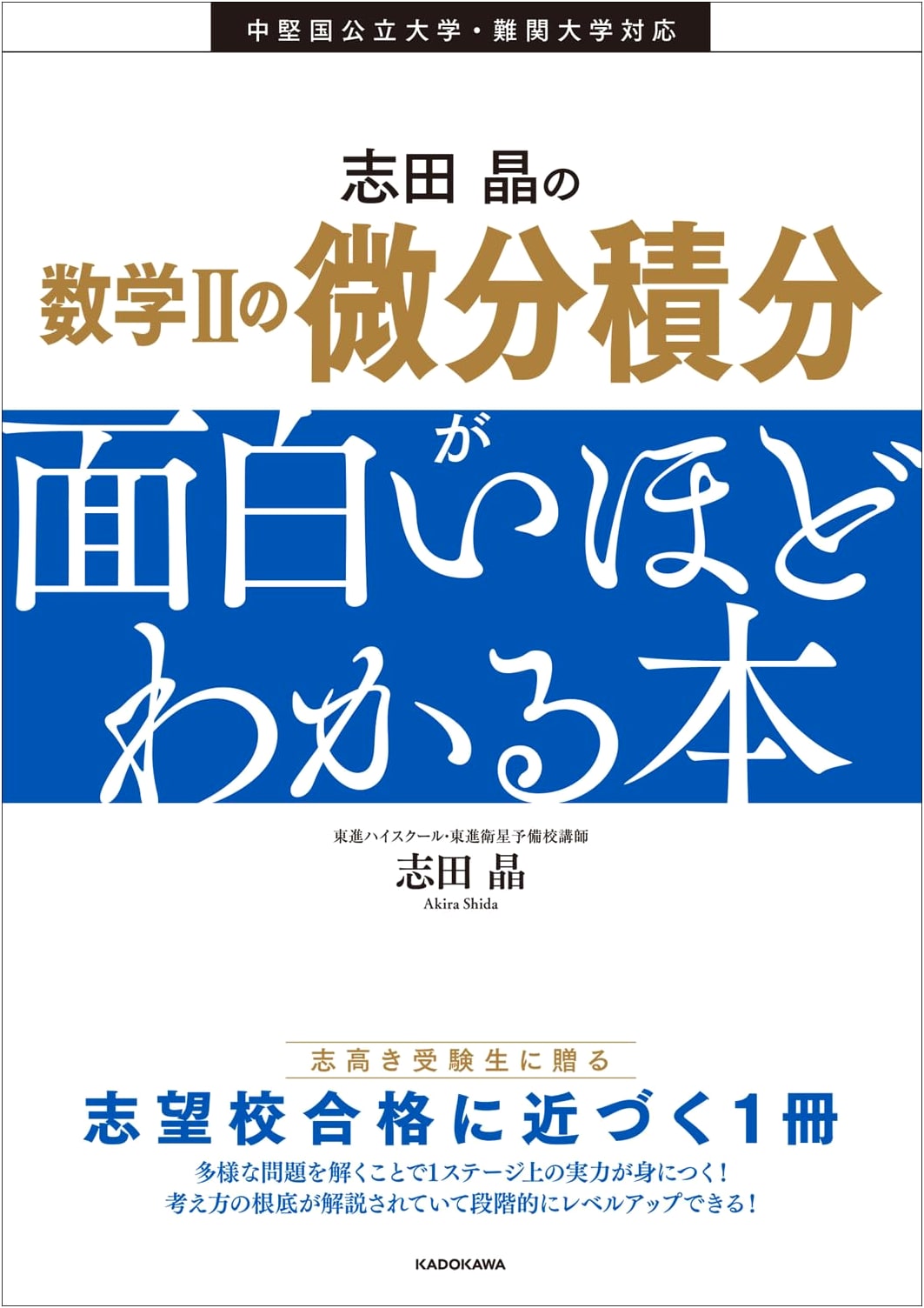 Shida Akira's Calculus in Mathematics II: A Surprisingly Understandable Guide