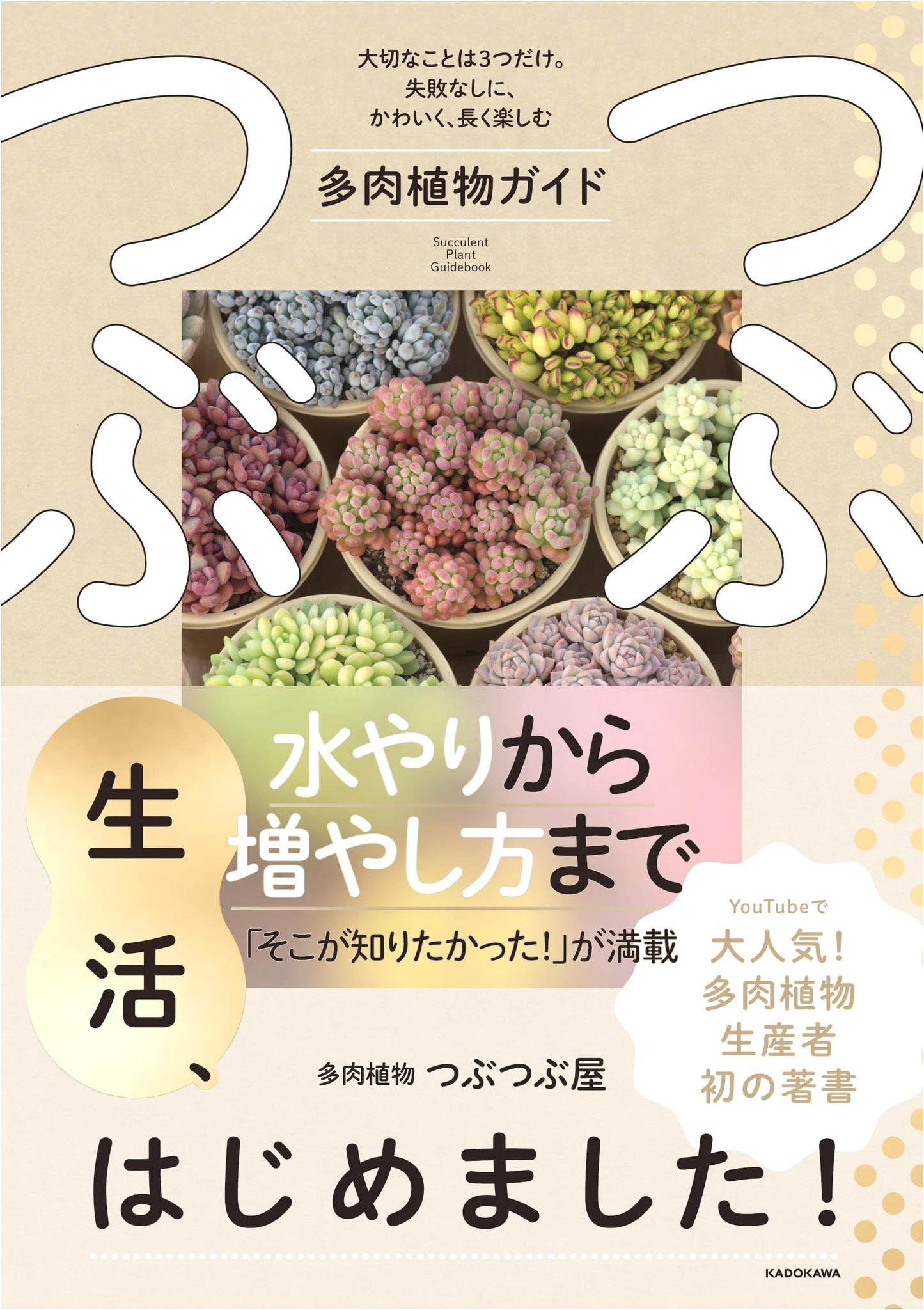 Starting a Tsubu Tsubu Lifestyle! Succulent Plant Guide by Tsubu Tsubuya