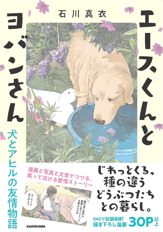 Ace and Yoban: A Dog and Duck Friendship Story by Mai Ishikawa