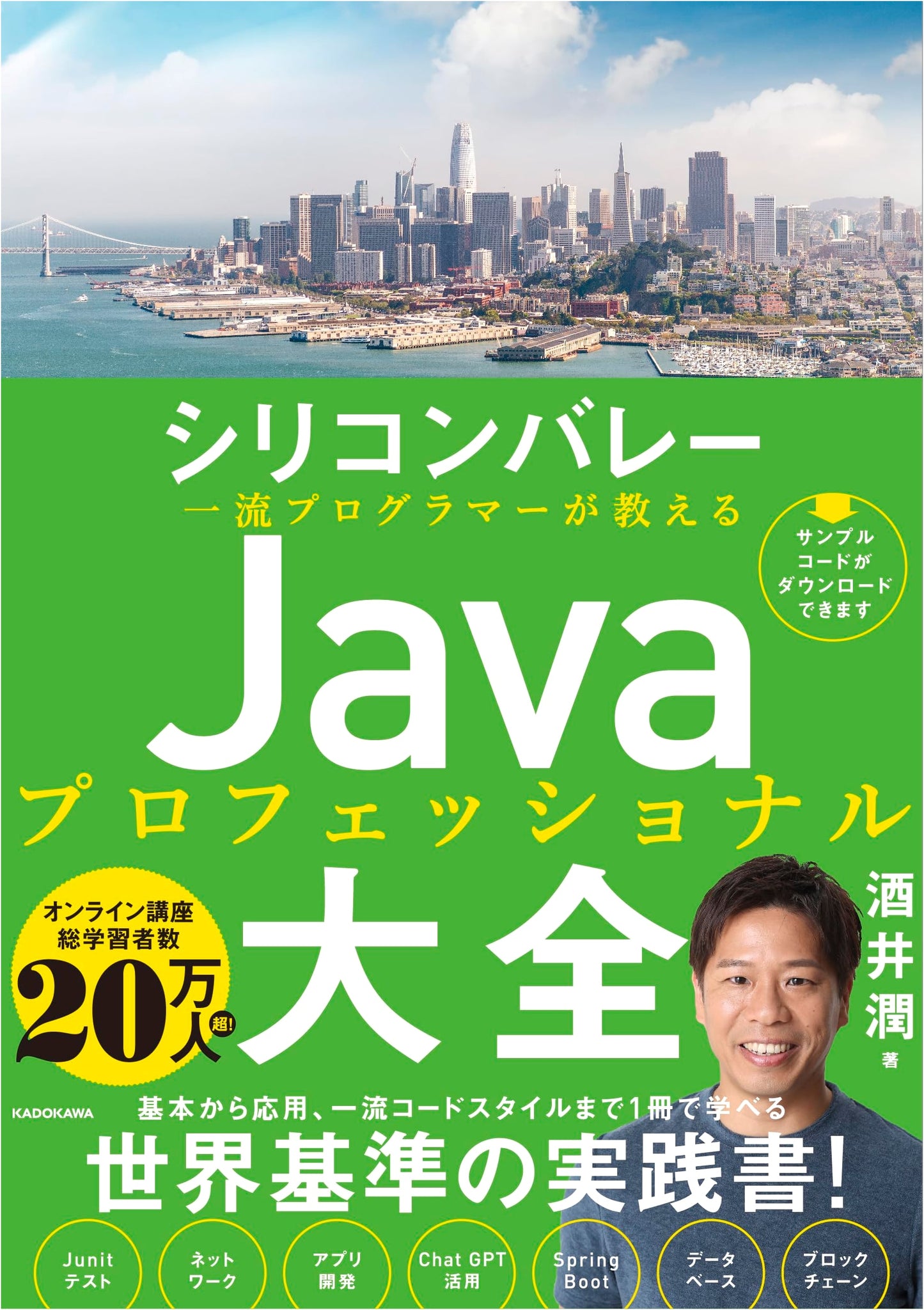 The Complete Java Professional Guide from a Top Silicon Valley Programmer