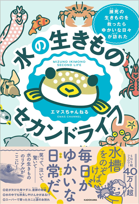 Aquatic Creatures' Second Life: Joyful Days After Rescuing Dying Animals