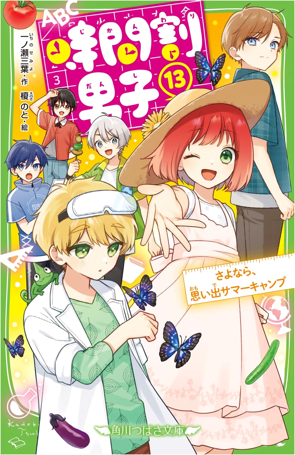 Jikanwari Danshi (13): Goodbye, Memory Summer Camp (Kadokawa Tsubasa Bunko)