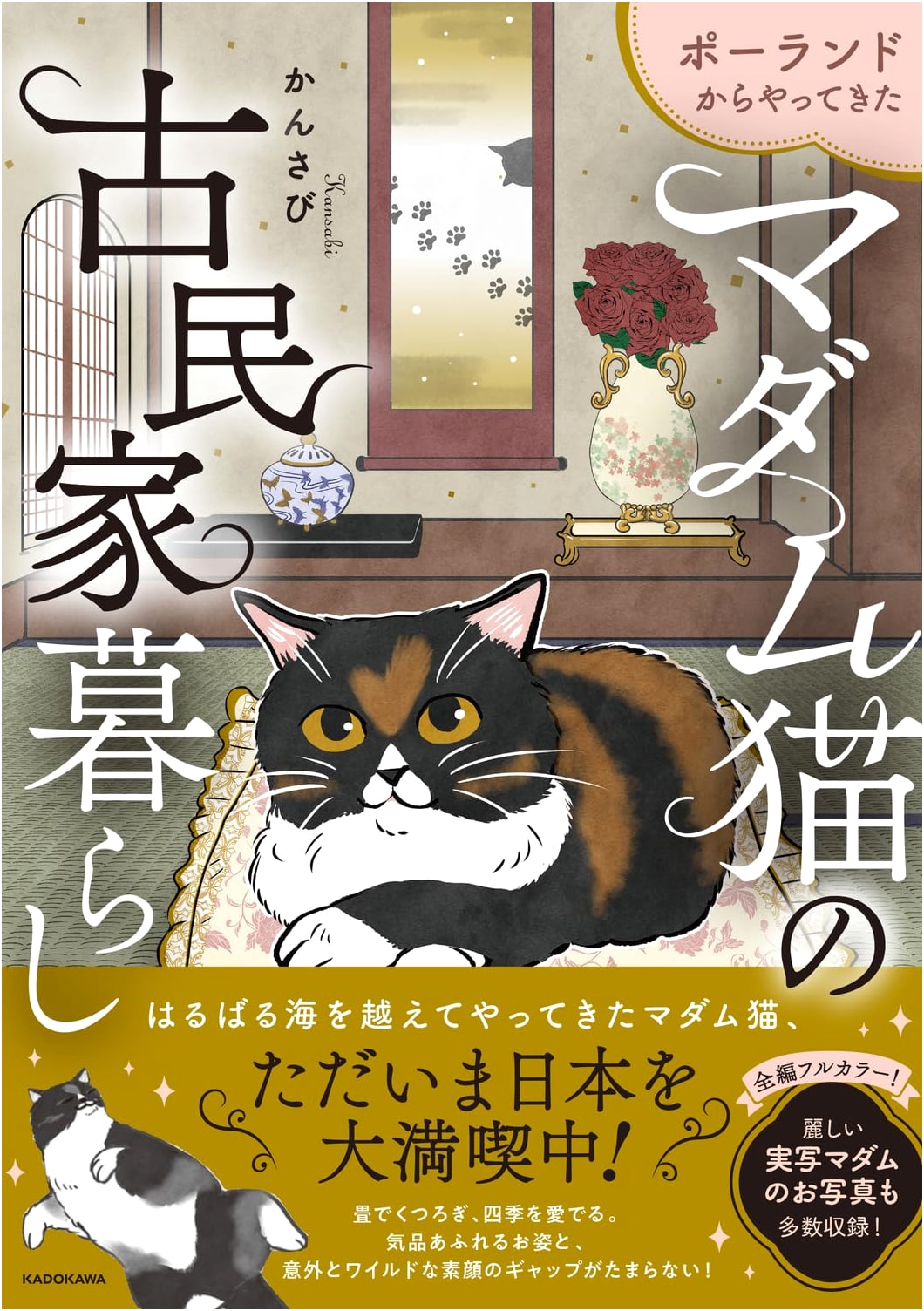 Madame Cat's Old House Life from Poland by Kansabi