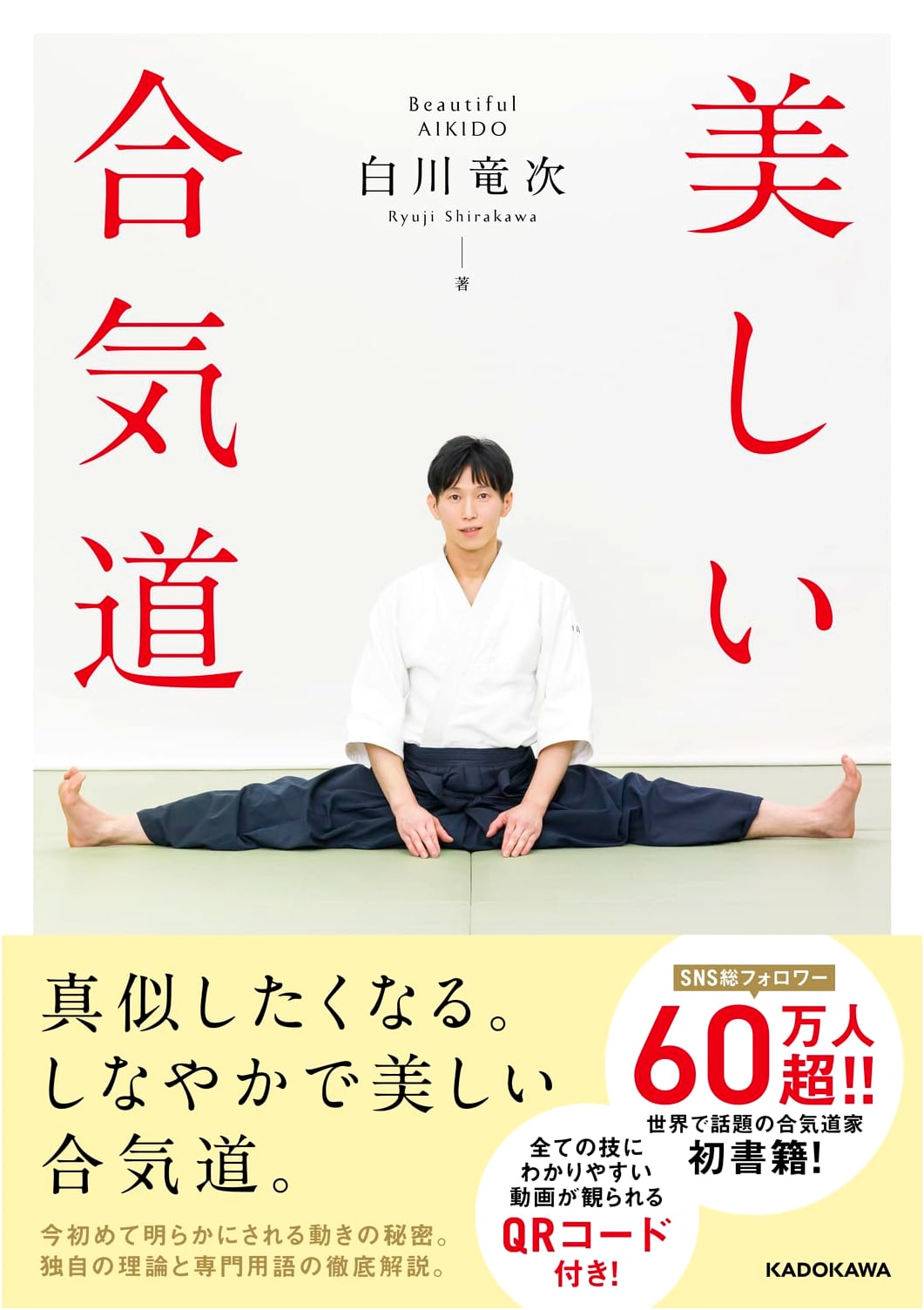 Beautiful Aikido by Ryuji Shirakawa