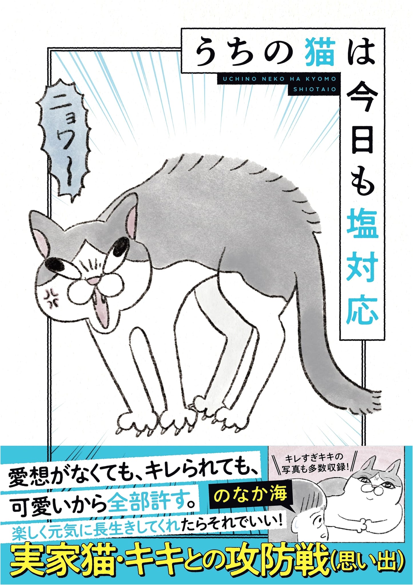 My Cat is Cold as Ice, Vol. 1 by Umi Nonaka