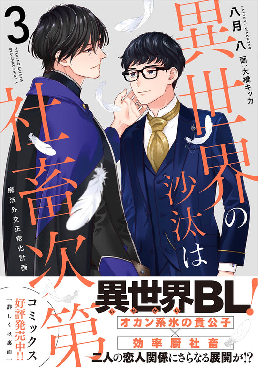 Another World's Troubles are Up to the Corporate Slave 3: Magical Diplomacy Normalization Project by Yatsuki, Hachi