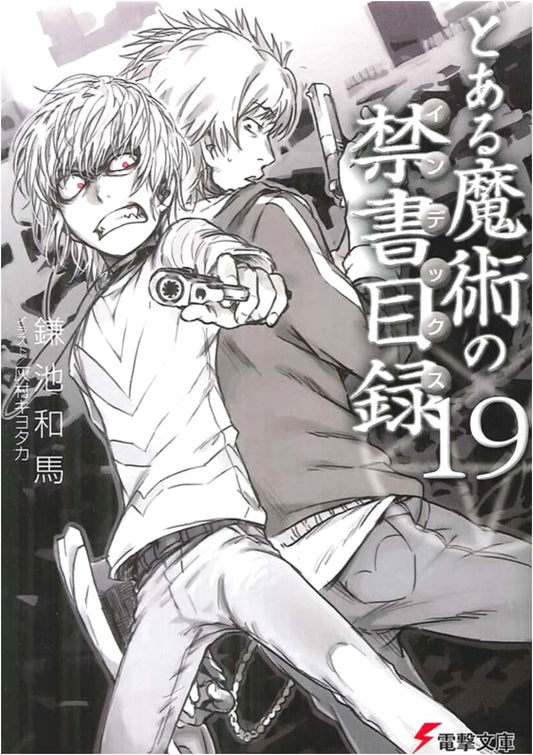 A Certain Magical Index, Vol. 19 (Dengeki Bunko Light Novel)
