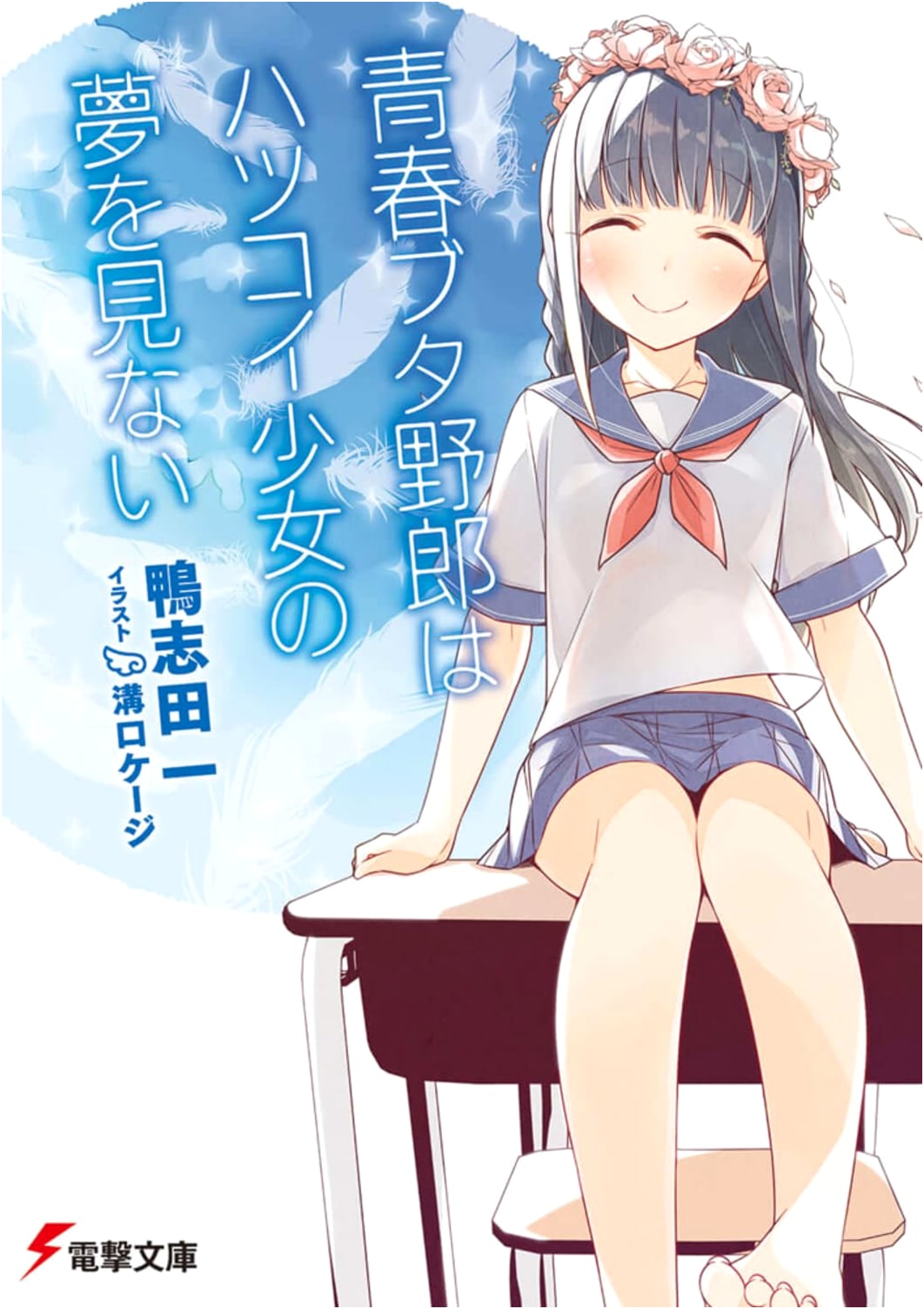 Rascal Does Not Dream of a Dreaming Girl (Light Novel)