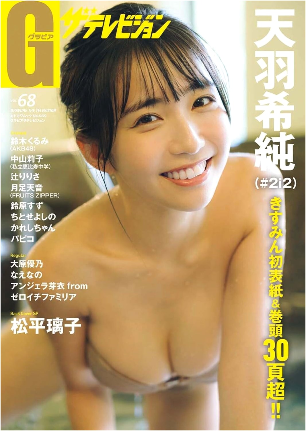 Gravure The Television Vol. 68 (Kadokawa Mook)