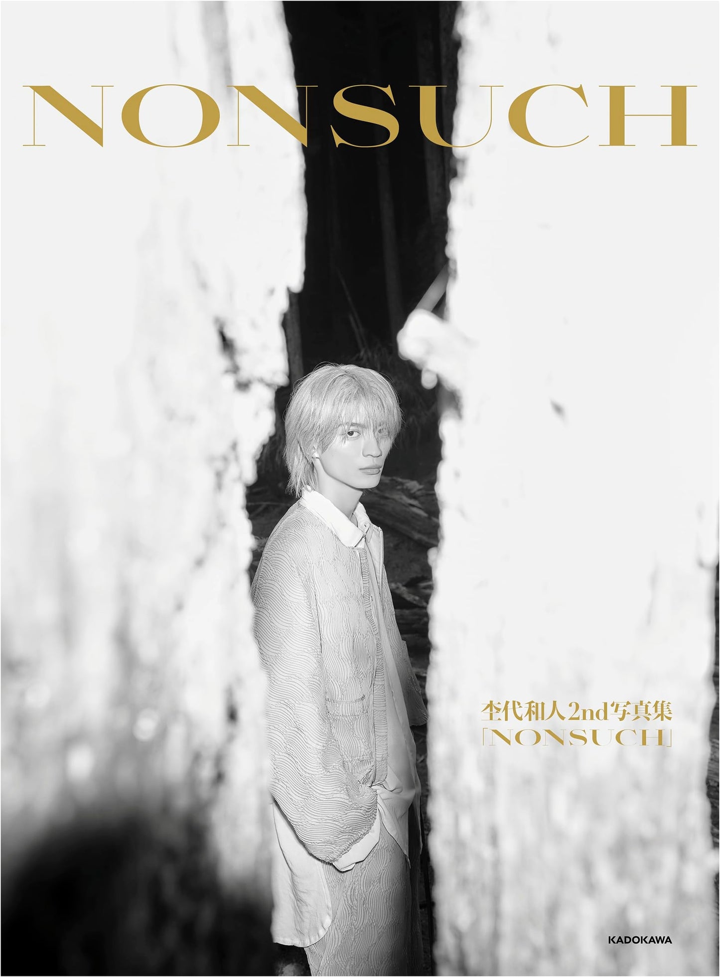 NONSUCH: Kazuto Mokudai's 2nd Photo Book