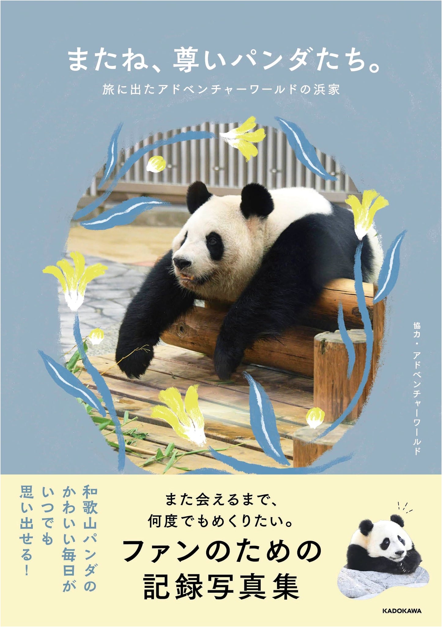 See You Again, Precious Pandas: Adventure World's Hamaya on a Journey