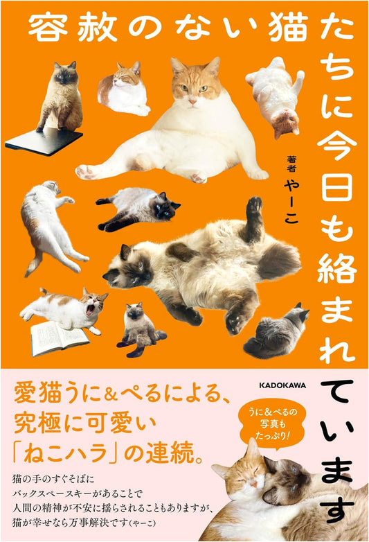 Besieged by Merciless Cats: Daily Life with Yako's Felines
