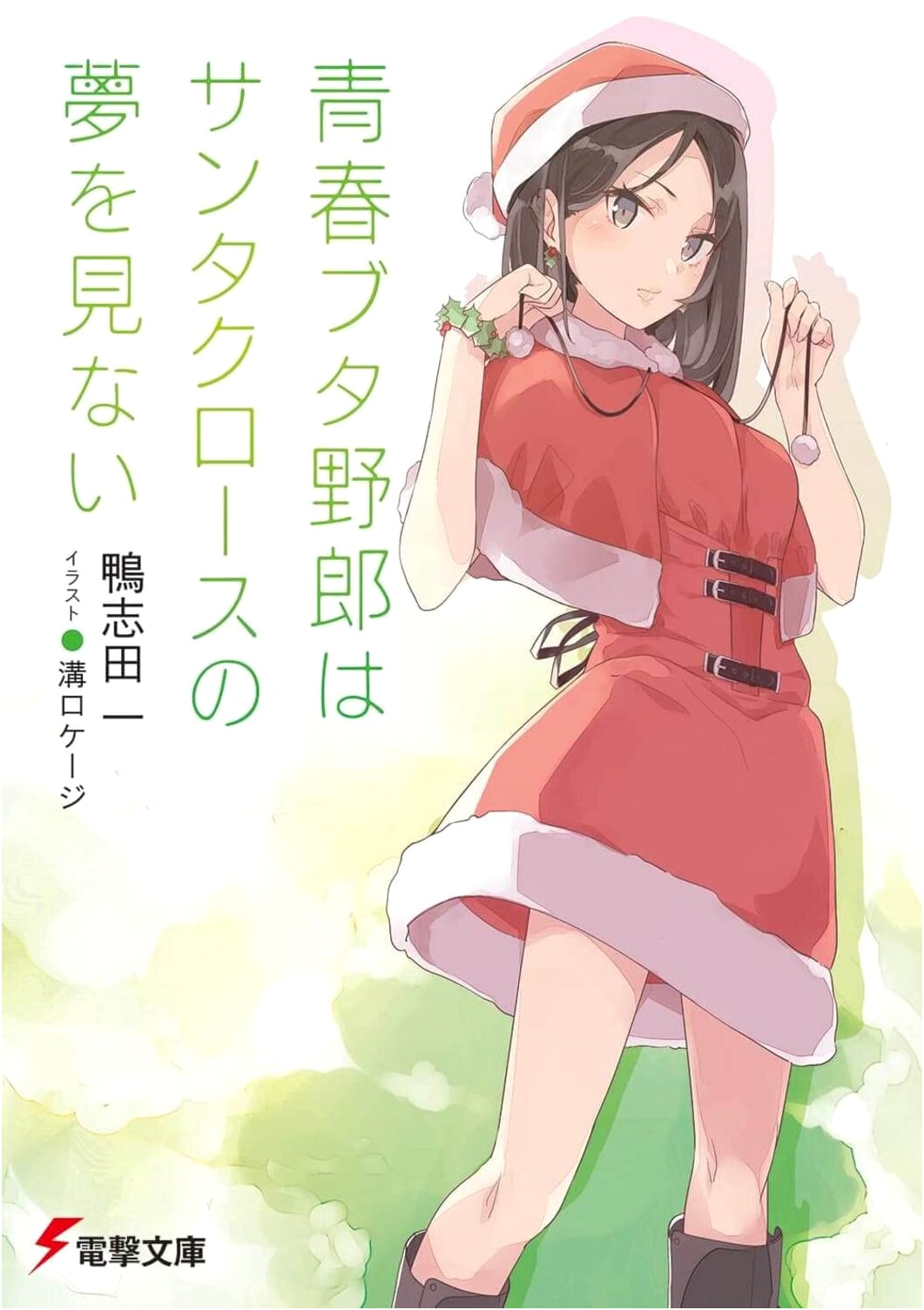 Rascal Does Not Dream of a Santa Claus (Dengeki Bunko)