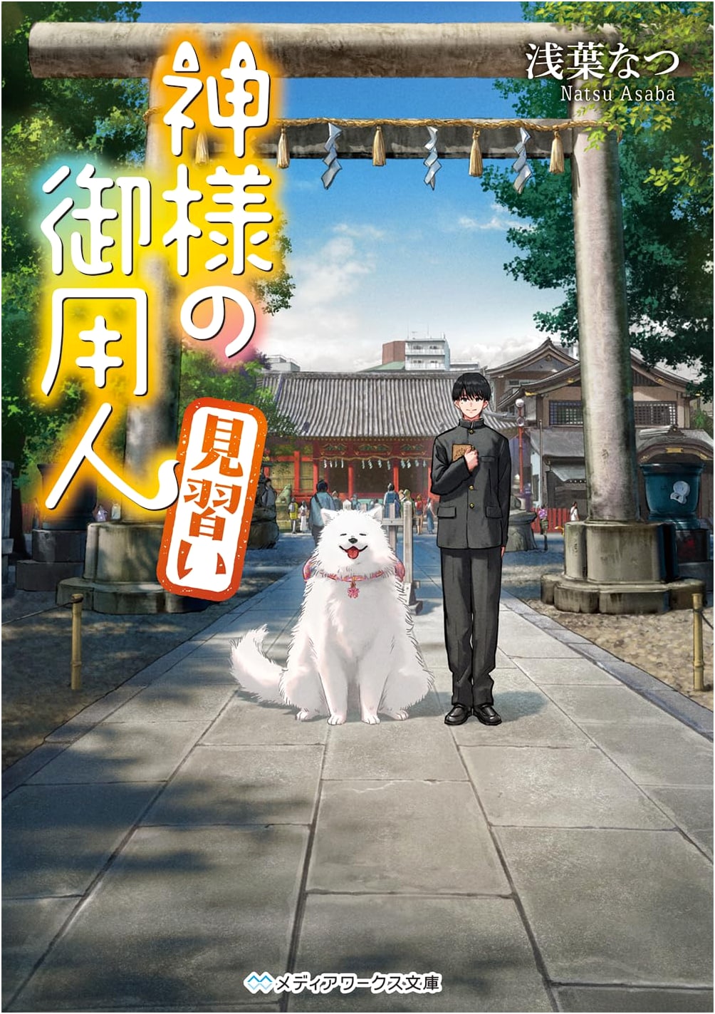 Kami-sama no Goyounin: Apprentice (Natsu Asaba)