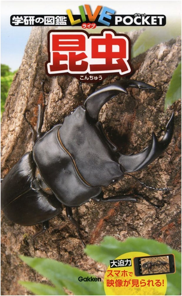 Insects: Gakken's Illustrated LIVE Pocket Edition
