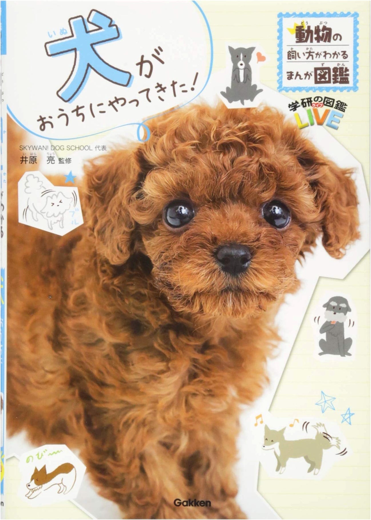 A Dog Comes Home!: Manga Illustrated Guide to Owning a Pet