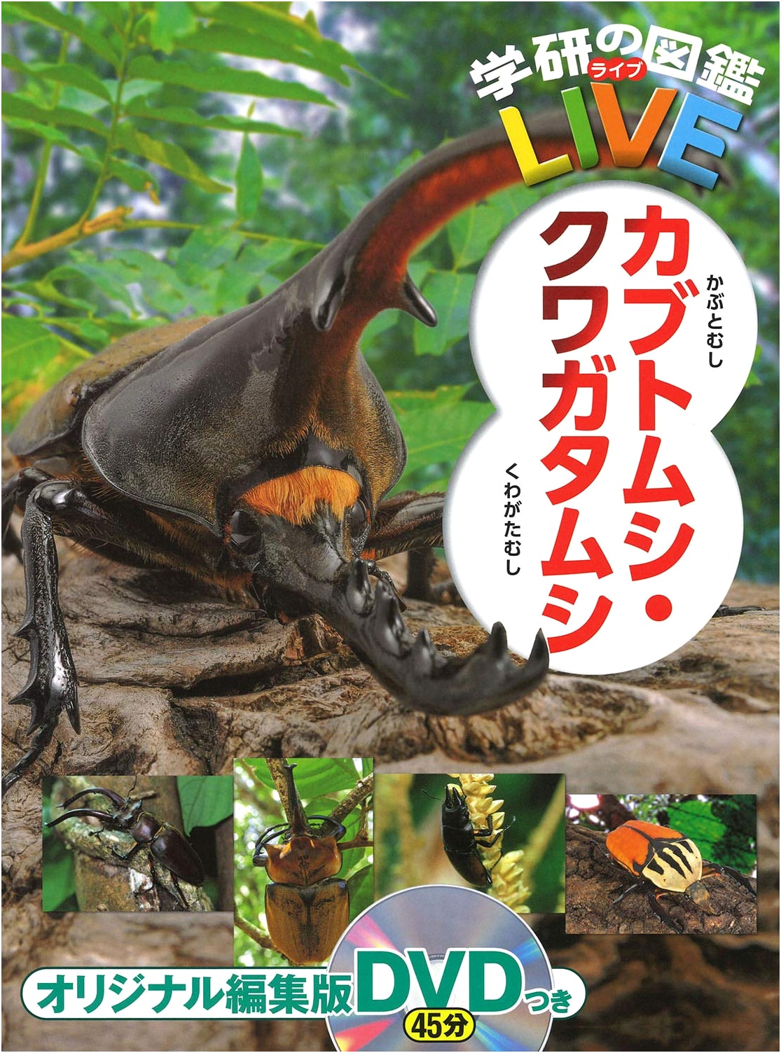 Rhinoceros & Stag Beetles: Gakken LIVE Illustrated Encyclopedia