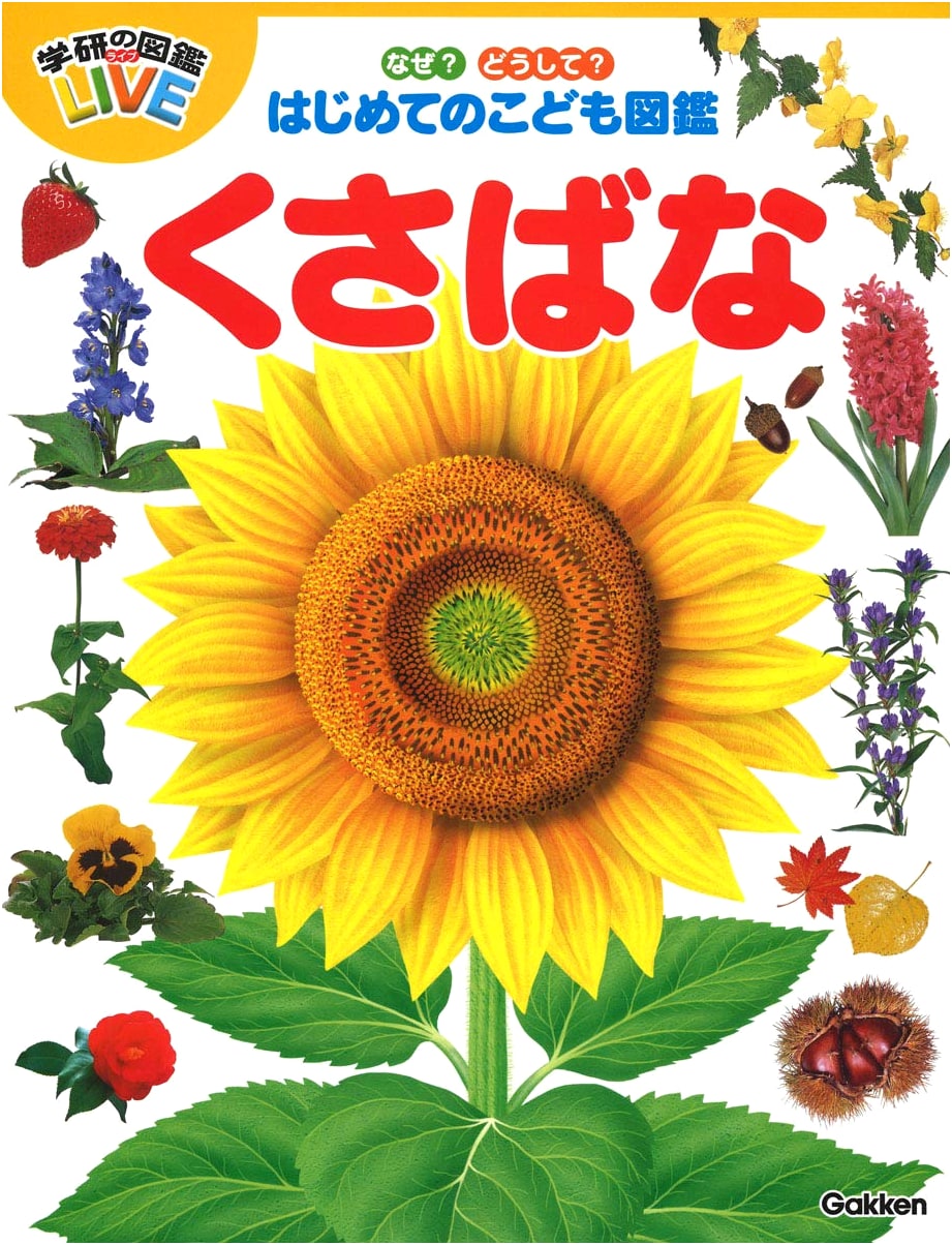 Why? How? First Children's Illustrated Encyclopedia: Grasses and Flowers