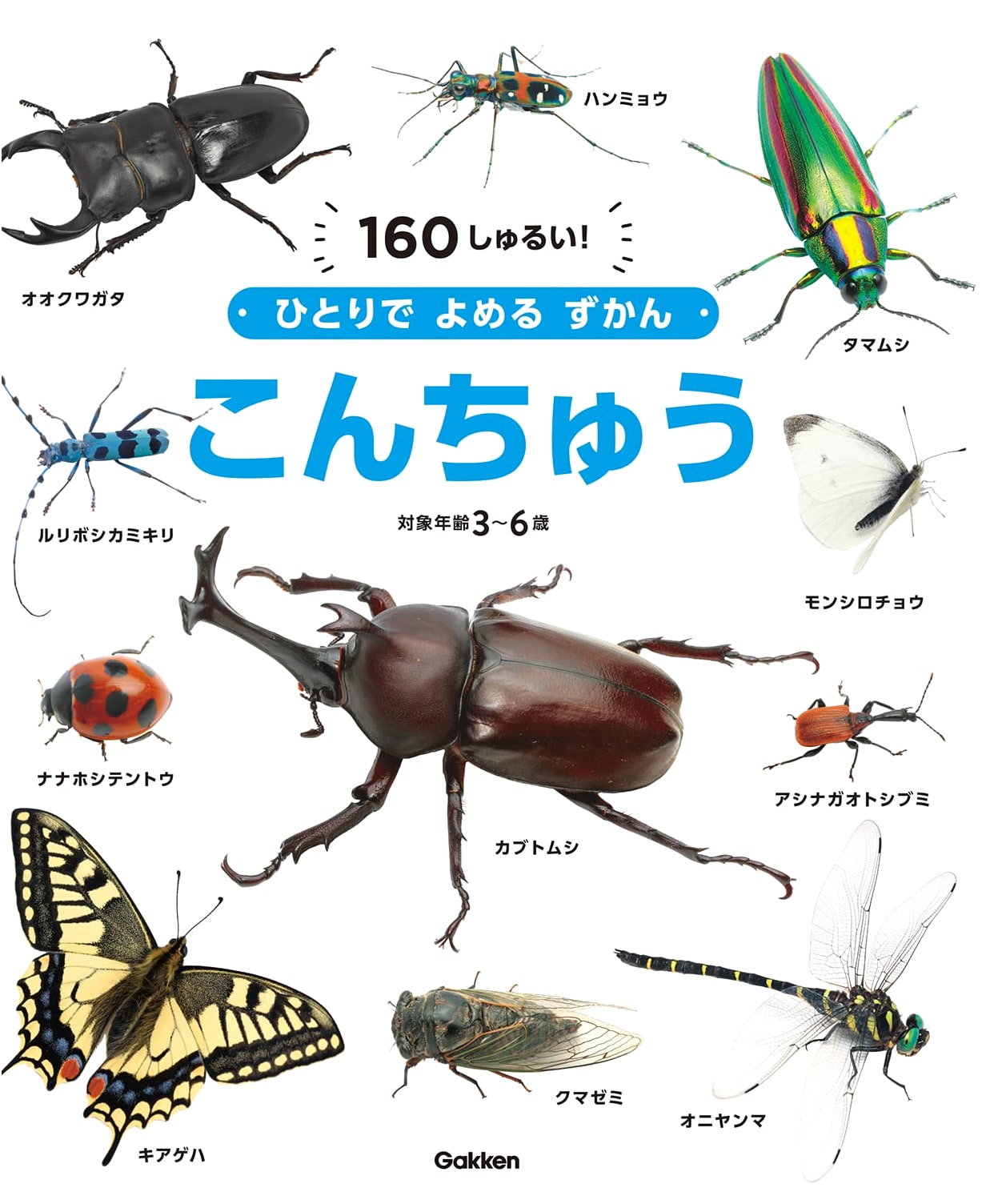 Gakken's Illustrated Guide to Insects: A Picture Book for Young Readers