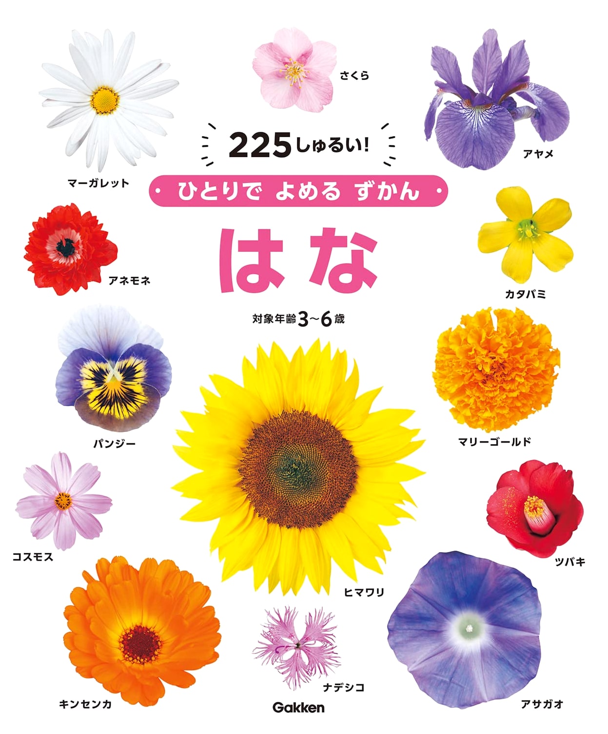 Flowers: A Picture Book to Read Alone