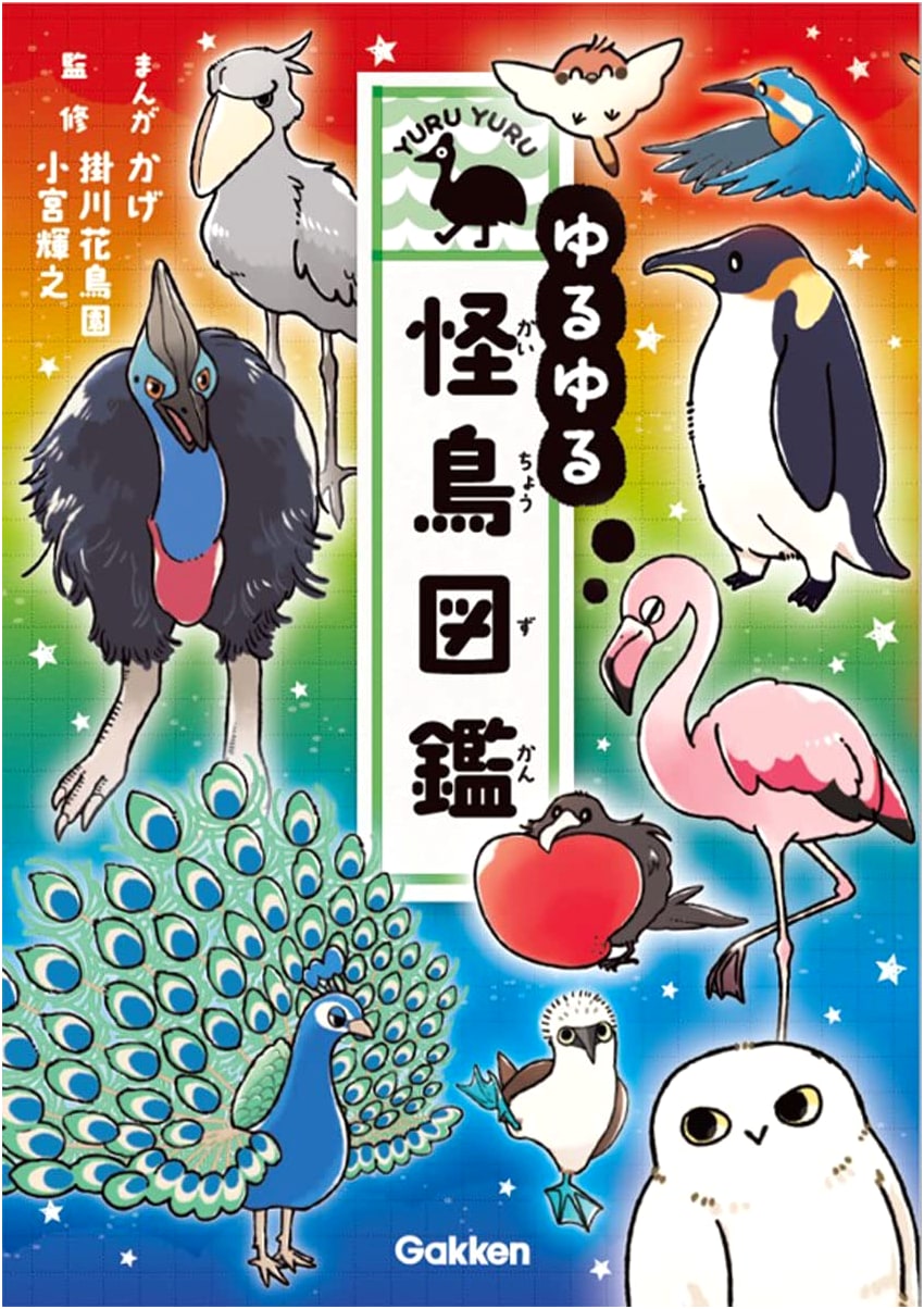 Relaxing Guide to Mysterious Birds by Kage