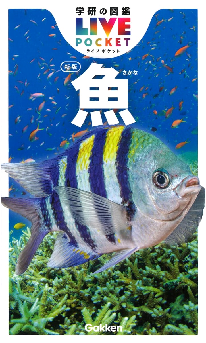 Fish (Gakken's Illustrated Pocket Encyclopedia LIVE 1)