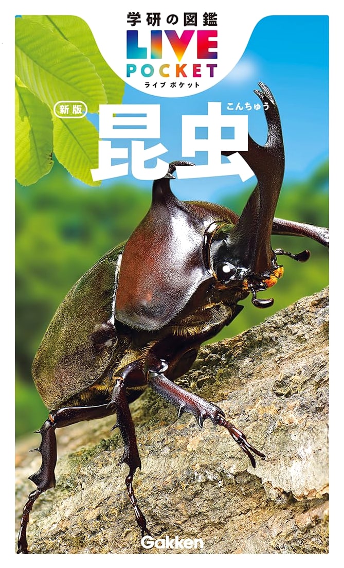 Insects: New Edition (Gakken's Zukan LIVE Pocket 3)