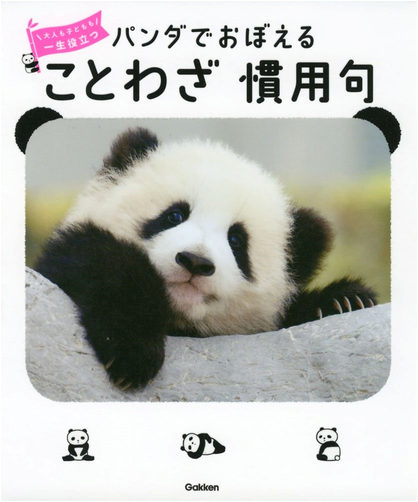 Learn Japanese Proverbs & Idioms with Pandas