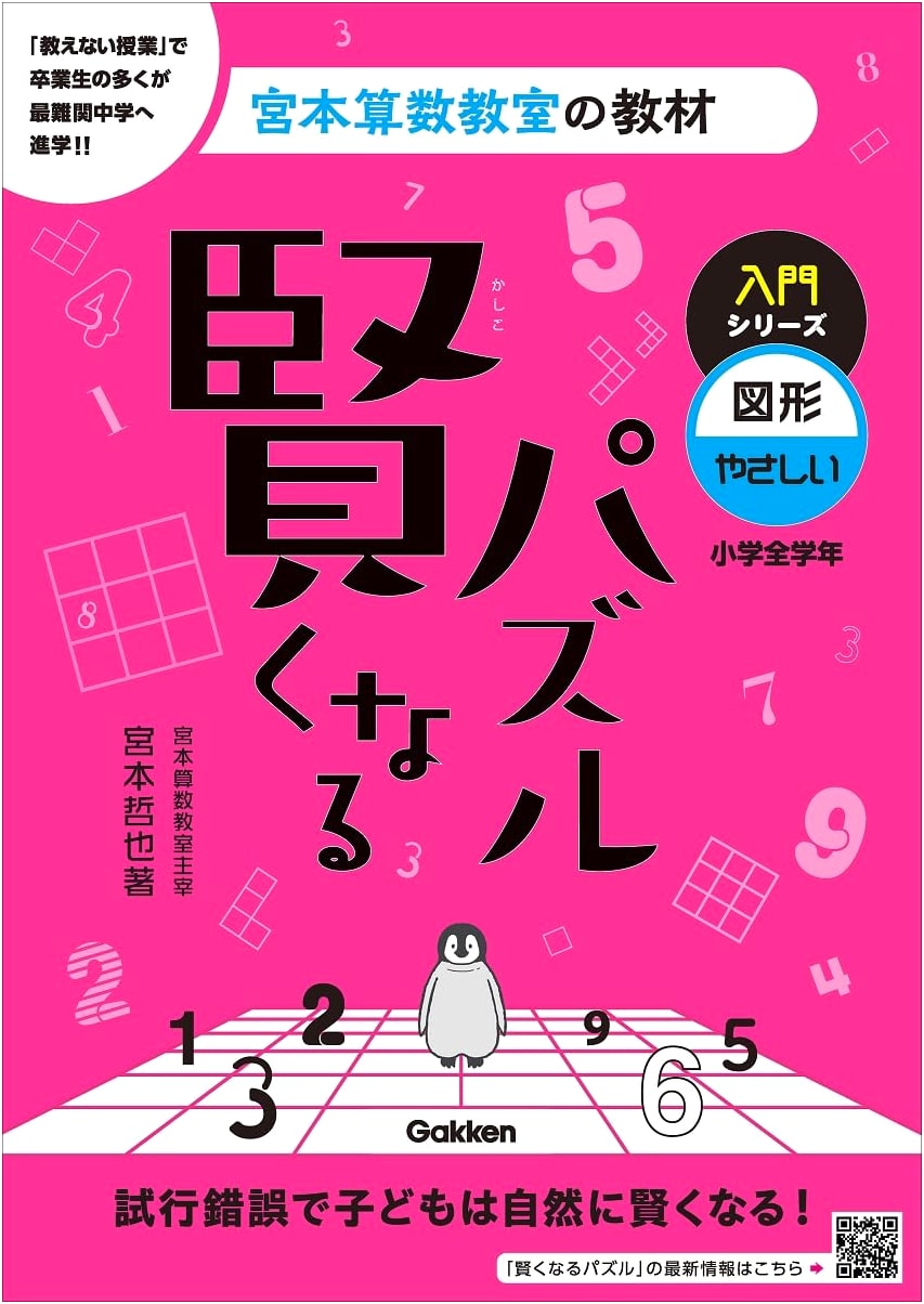 Miyamoto Math Classroom Puzzles: Introductory Series - Easy Geometric Shapes