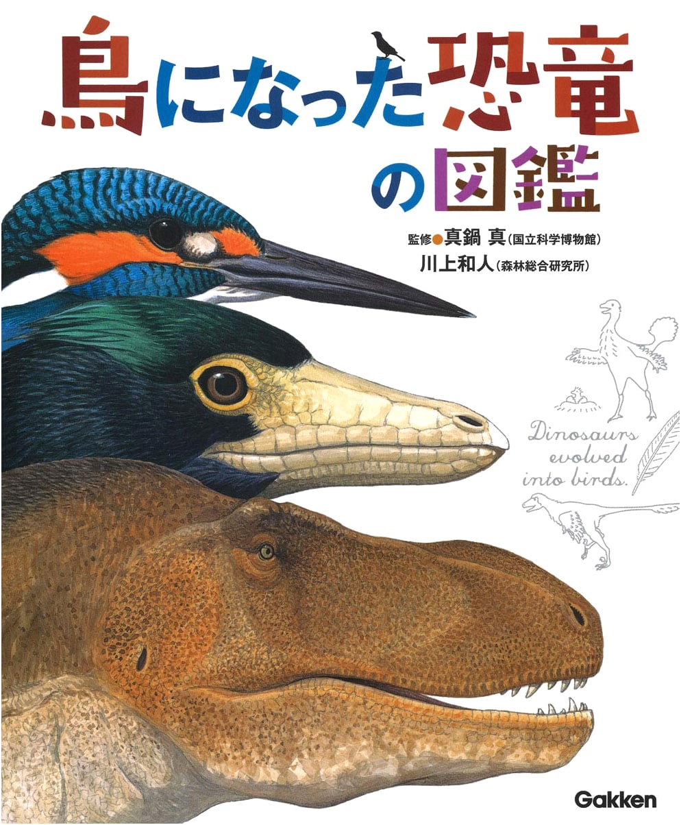 Illustrated Guide to Dinosaurs That Became Birds