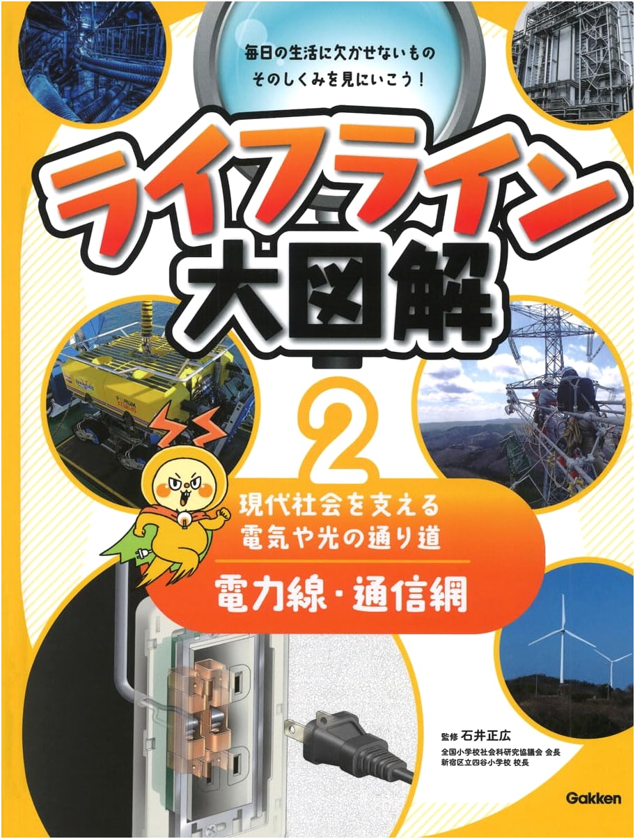 Vol. 2: Power Lines & Communication Networks - Pathways of Electricity & Light (Lifeline Illustrated Guide 2)